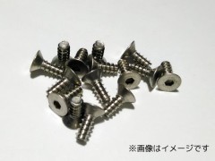 TST-1312　チタン六角サラタッピングビス 3×12　15本