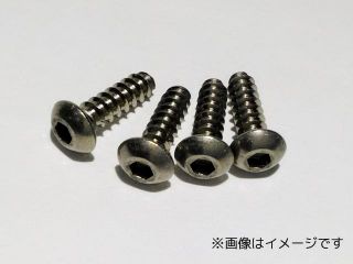 TBT-0310　チタン六角ボタンタッピング 3×10