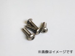 TB-0412　チタン六角ボタンビス 4×12　4本
