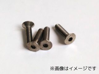 TSI-0102　チタン六角サラインチビス 4_40 1/2　4本【取寄せ】