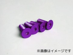 JSH-0306　ジュラサラビス（パープル）3×6　4本入