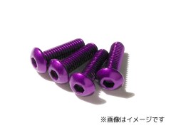 JBH-0316　ジュラボタンビス（パープル）3×16　4本入