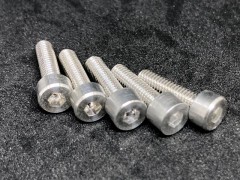 GO MODEL　ケイリョウキャップボルト M4x15