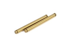 TLR2054　　リアアウターヒンジピン（22用/2pcs）(処分特価)