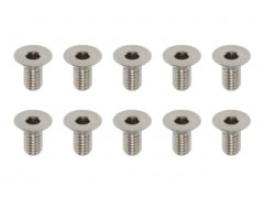RP-042061A　高精度切削チタン製 フラットヘッド ソケットスクリュー M3×6mm(10本入)
