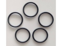 2529-007　Oリング P-22　(在庫限り)