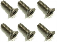 STR-310　チタンヘックス皿ビス　3×10　6本入