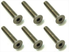 STR-318　チタンヘックス皿ビス　3×18　6本入