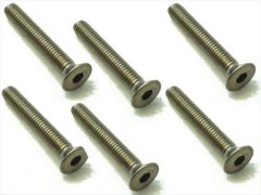 STR-320　チタンヘックス皿ビス　3×20　6本入