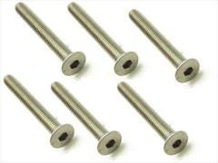 STR-325　チタンヘックス皿ビス　3×25　6本入