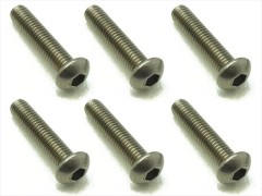 NTR-314　チタンヘックスボタンビス　3×14　6本入
