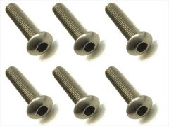 NTR-316　チタンヘックスボタンビス　3×16　6本入