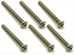 NTR-325　チタンヘックスボタンビス　3×25　6本入