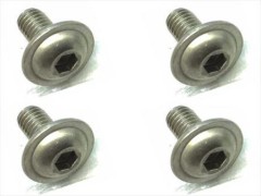 FTR-306　チタンヘックスフランジビス　3×6　4本入