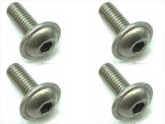 FTR-308　チタンヘックスフランジビス　3×8　4本入