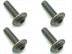 FTR-310　チタンヘックスフランジビス　3×10　4本