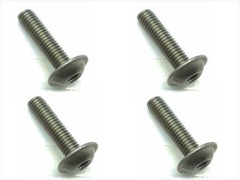 FTR-312　チタンヘックスフランジビス　3×12　4本入