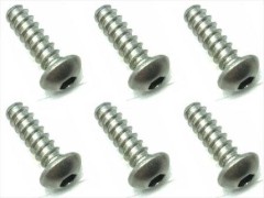 NTP-310　チタンヘックスボタンタッピングビス　3×10　6本入