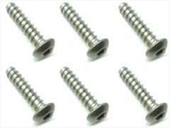 NTP-312　チタンヘックスボタンタッピングビス　3×12　6本入