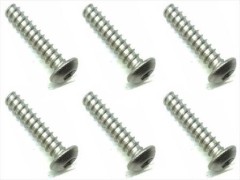NTP-314　チタンヘックスボタンタッピングビス　3×14　6本入