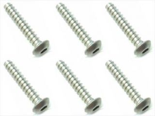 NTP-316　チタンヘックスボタンタッピングビス　3×16　6本入