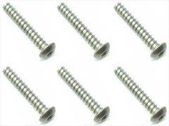 NTP-318　チタンヘックスボタンタッピングビス　3×18　6本入