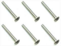 NTP-320　チタンヘックスボタンタッピングビス　3×20　6本入