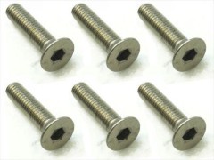 STR-313　チタンヘックス皿ビス　3×13　6本入