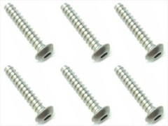 NTP-315　チタンヘックスボタンタッピングビス　3×15　6本入