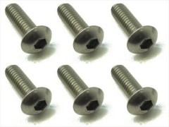 NTR-412　チタンヘックスボタンビス　4×12　6本入