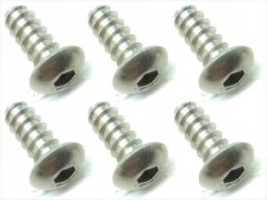NTP-410　チタンヘックスボタンタッピングビス　4×10　6本入