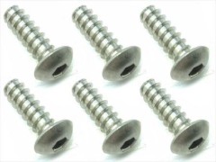 NTP-412　チタンヘックスボタンタッピングビス　4×12　6本入