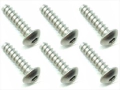 NTP-415　チタンヘックスボタンタッピングビス　4×15　6本入