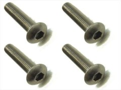 NTR-420　チタンヘックスボタンビス　4×20　4本入