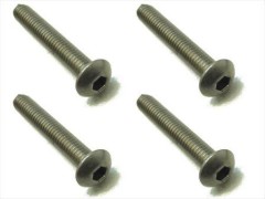 NTR-425　チタンヘックスボタンビス　4×25　4本入