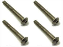 NTR-430　チタンヘックスボタンビス　4×30　4本入