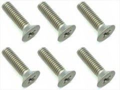 SGT-2610　チタン皿ビス　2.6×10　6本入　プラス頭