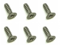 SGP-206　チタン皿タッピングビス　2×6　6本入　プラス頭