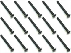 NST-325　スチール ヘックスボタンビス　3×25　15本入