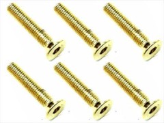 SSR-316G　ステンレスヘックス皿ビス 24Kゴールドメッキ　3×16　6本入