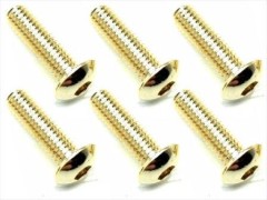 NSR-310G　ステンレスヘックスボタンビス 24Kゴールドメッキ　3×10　6本入