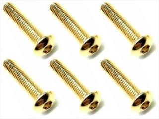 NSR-314G　ステンレスヘックスボタンビス 24Kゴールドメッキ　3×14　6本入