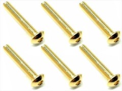 NSR-318G　ステンレスヘックスボタンビス 24Kゴールドメッキ　3×18　6本入