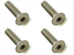 STR-418　チタンヘックス皿ビス　4×18　4本入