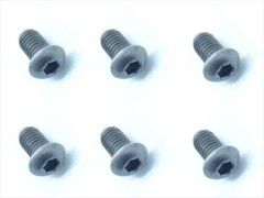 NTR-266　チタンヘックスボタンビス　2.6×6　6本入