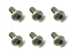 NTR-205　チタンヘックスボタンビス　2×5　6本入