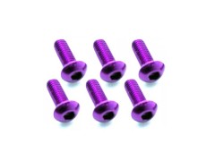 NAX-308P　70-75 ジュラルミン ヘックスボタンビス 3x8 (パープル/6本入)