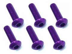 NAX-312P　70-75 ジュラルミン ヘックスボタンビス 3x12 (パープル/6本入)