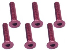 SAX-315R　3x15ヘックス皿ビス(レッド/6本入)レッド