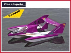 カシオペア　11140　シーガル セカンドステージ EV4　PIPセット　パープル